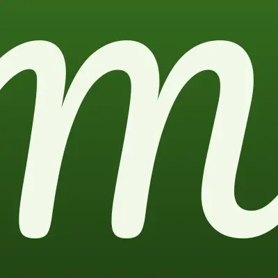 Манго, лого-визитка